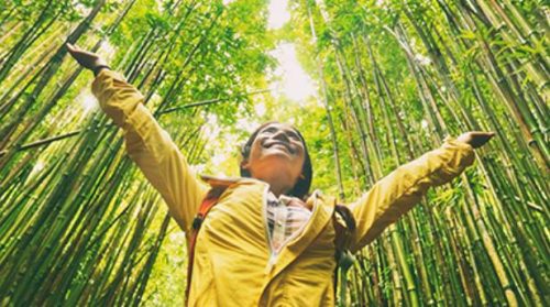 WTTC and Harvard T.H. Chan School Release Papers to Drive Sustainability in Tourism - TRAVELINDEX