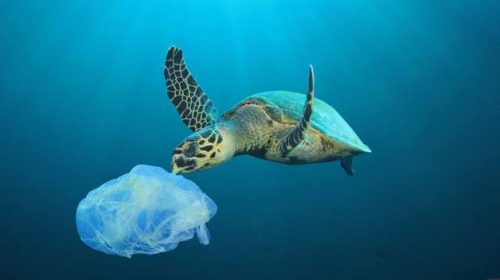 Global Tourism Plastics Initiative Releases First Progress Report - UNWTO - TRAVELINDEX