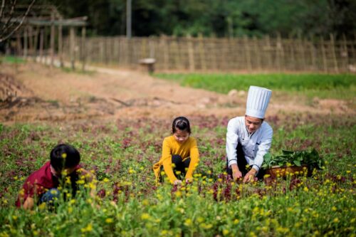 Fusion Hotel Group Honors Earth Day Year Round - TRAVELINDEX