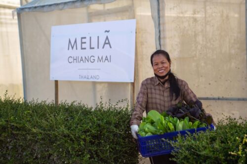 Meliá Hotels International Powers Up For Earth Day - TRAVELINDEX