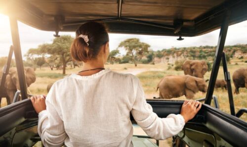 Tourism to Create 14 Million Jobs in Africa within the Next Decade - VISITKENYA.com - TRAVELINDEX
