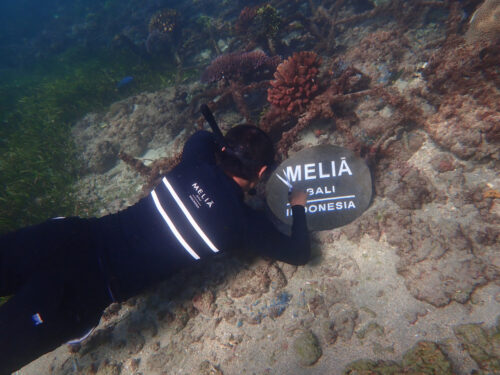 Melia Bali Helps Restore Coral Reefs - TRAVELINDEX