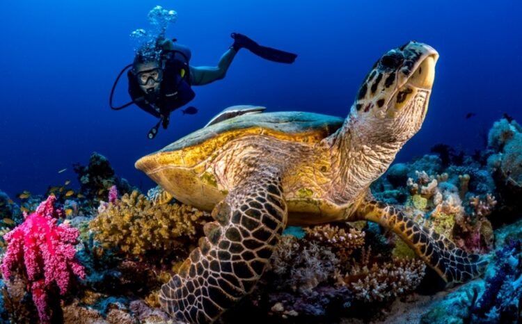 RSG Publishes its Science-Based Model for Achieving Net Conservation Gains - TRAVELINDEX